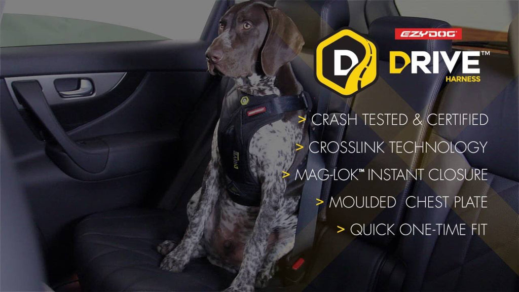 EzyDog Drive Dog Car Harness, Large
